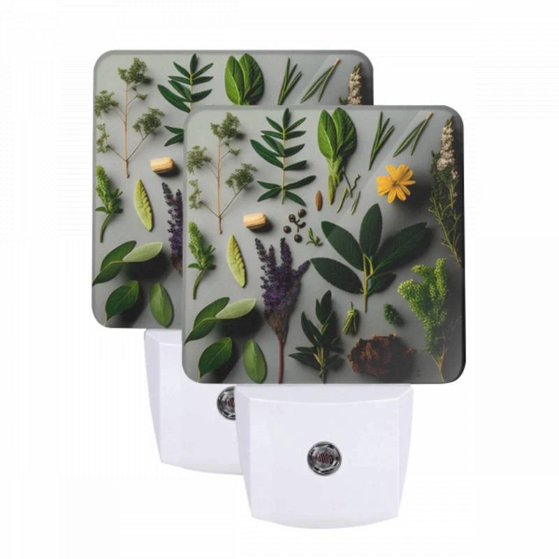 Night Light Set of 2, A collection of various plants and herbs. Night Light Set Of 2, A Collection Of Various Plants And Herbs. -Pattern Night Light 055910fc62810f1f2e5fd72d165b44f30b39297b