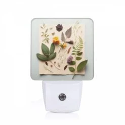 Night Light, A Collection Of Leaves And Flowers Are Arranged On A Piece Of Paper.