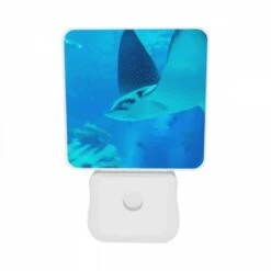 Night Light Set Of 2, A Blue Fish With A Black And White Face Swims In The Ocean. 9 Night Light Set Of 2, A Blue Fish With A Black And White Face Swims In The Ocean. -Pattern Night Light 11ad59029110bebc07988fb6792c41a100f843fa
