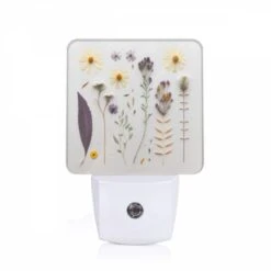 Night Light, A Collection Of Flowers And Leaves On A White Background.