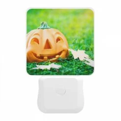 Night Light, A Fake Pumpkin With A Smile On It Sits On The Grass. 11 Night Light, A Fake Pumpkin With A Smile On It Sits On The Grass. -Pattern Night Light 1a0eea42233648354f5892918fdd707b5793940e