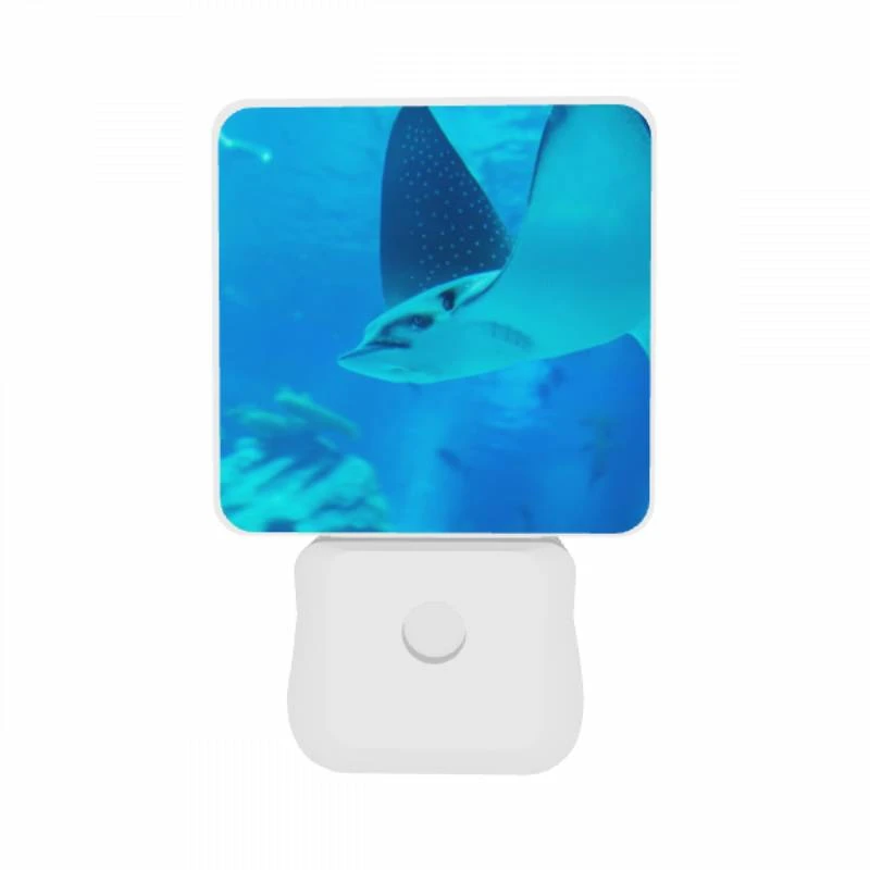 Night Light Set of 2, A blue fish with a black and white face swims in the ocean. Night Light Set Of 2, A Blue Fish With A Black And White Face Swims In The Ocean. -Pattern Night Light 2aca39708b0f61e67d8b785315d26ec8e51c1b5b