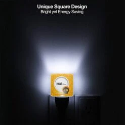 Night Light Set Of 2, A Halloween Themed Plate With A Skull On It. 5 Night Light Set Of 2, A Halloween Themed Plate With A Skull On It. -Pattern Night Light 3e1d4791bd898f15899dce2410d8b582a494b602