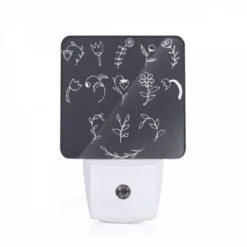 Night Light, A Collection Of Flower Drawings In Black And White.