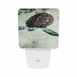Night Light Set Of 2, A Turtle Swimming In The Water. 8 Night Light Set Of 2, A Turtle Swimming In The Water. -Pattern Night Light 6dd85fa9965ae253adb4bd15c683c6816e8e88e7