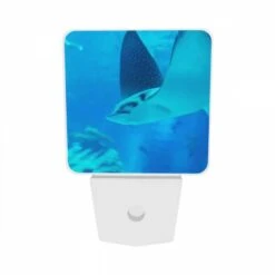 Night Light Set Of 2, A Blue Fish With A Black And White Face Swims In The Ocean. 8 Night Light Set Of 2, A Blue Fish With A Black And White Face Swims In The Ocean. -Pattern Night Light 7668f5805a7c09119ba97d22b86063fa6d9d2eaa