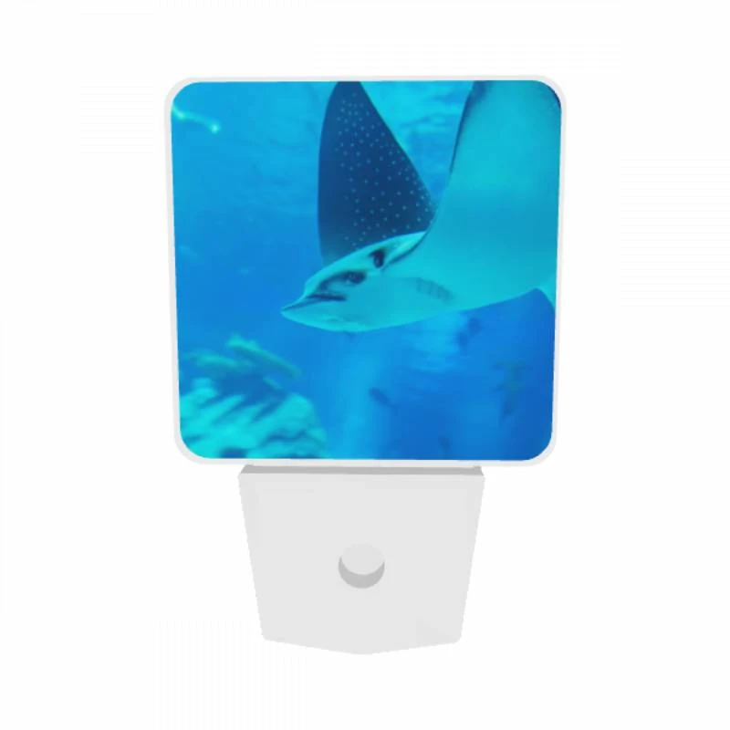 Night Light Set of 2, A blue fish with a black and white face swims in the ocean. Night Light Set Of 2, A Blue Fish With A Black And White Face Swims In The Ocean. -Pattern Night Light 7668f5805a7c09119ba97d22b86063fa6d9d2eaa