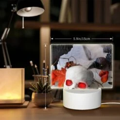 Rectangular Acrylic Night Light, A Black Bird Is Pecking At A White Skull. 7 Rectangular Acrylic Night Light, A Black Bird Is Pecking At A White Skull. -Pattern Night Light 7bb64aeb0ab56504637fbe771453541f1e5a5048