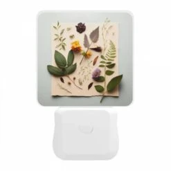Night Light, A Collection Of Leaves And Flowers Are Arranged On A Piece Of Paper. 11 Night Light, A Collection Of Leaves And Flowers Are Arranged On A Piece Of Paper. -Pattern Night Light 8abf419db62067d7ebcf3933c1bc7e89632a1658