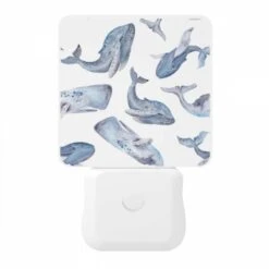 Night Light, A Collection Of Blue Whale Illustrations. -Pattern Night Light a55416847e787fcf54a52e685d052a2bafa9cdf0