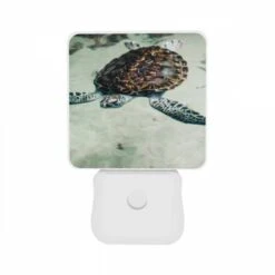 Night Light Set Of 2, A Turtle Swimming In The Water. 10 Night Light Set Of 2, A Turtle Swimming In The Water. -Pattern Night Light b145c7b1cebbf6f06f093bcd2c0510076ce1d916