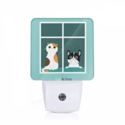 Night Light, A Cat And A Dog Are Sitting Next To Each Other