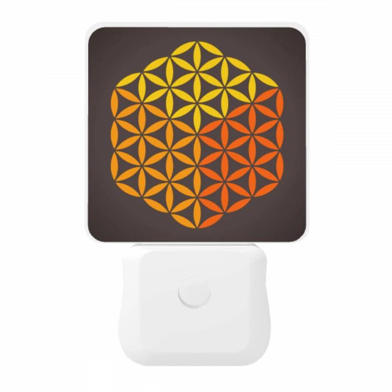 Night Light, A yellow and orange flower design. Night Light, A Yellow And Orange Flower Design. -Pattern Night Light d422a1b8d13f253cc9fa265851472d849a5d4565