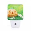 Night Light, A Fake Pumpkin With A Smile On It Sits On The Grass.